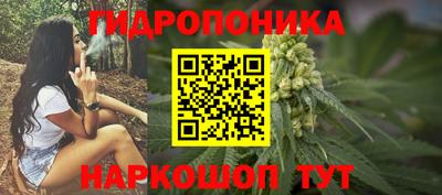 ECSTASY Шахты